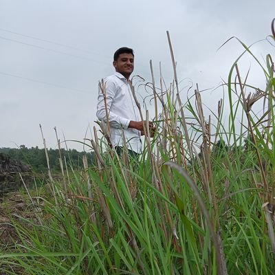 ANAND BORSE