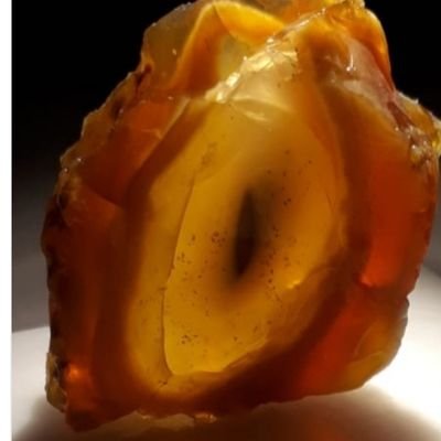 matrix_io1's profile picture. Nft