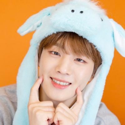 DKZ Dong-Ari 💜 (with a sprinkle of YiZhan, JunZhe, danmei, and anime) 🐢🍊