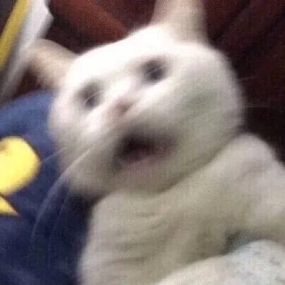 oatoatoatm's profile picture. nmixx & twice & itzy 💀