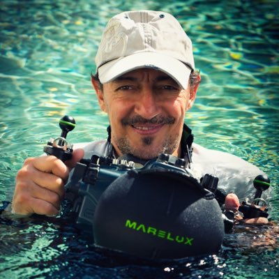 Expeditions leader 🛳underwater photographer 📸lights carver 💡underwater Macro & Super Macro specialist 🔬 Ocean Tribe Member ⚓️ @MareluxUSA Ambassador 🌊