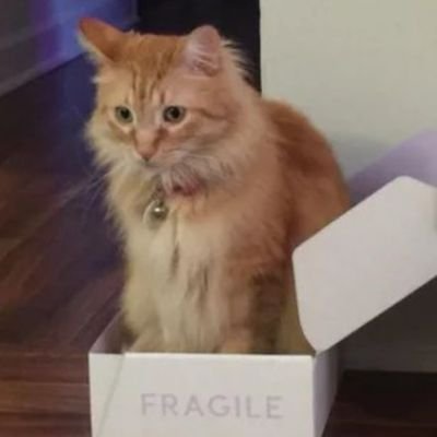 Princefromplan1's profile picture. 