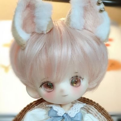 whiteswallow_29's profile picture. 🥰BL/인형🥰/성인이에요/잡다한 알티 마음 많아요!/팔언팔은 자유롭게 해주세요💛