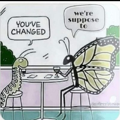 sueson1's profile picture. loves justice, prays hard and a lover of God.