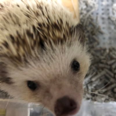 poppo298021955's profile picture. 韓ドラ好き  テソペン　BIGBANG が好き JKジヨペン娘と母娘VIP ドラム叩く人が好き コンサドーレ札幌サポ 私のガソリンは生ビール🍺とネイル💅