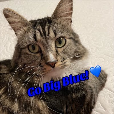 blue_at_heart_ Profile Picture