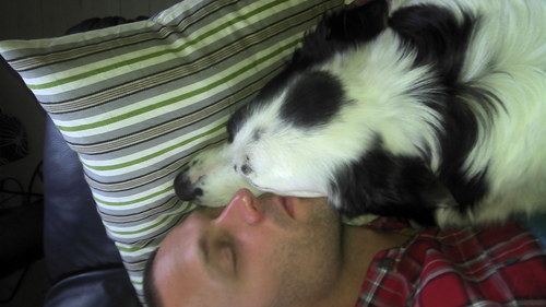 hglinghammar's profile picture. 