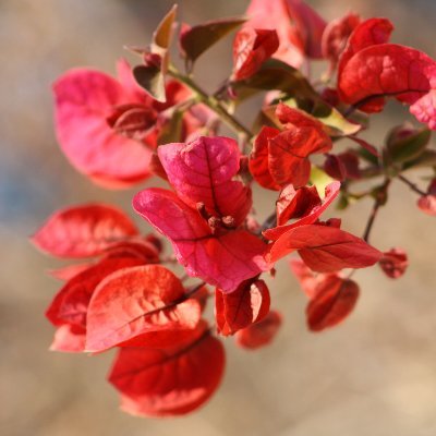 Mali_LB's profile picture. 