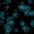zaid_sulong's profile image