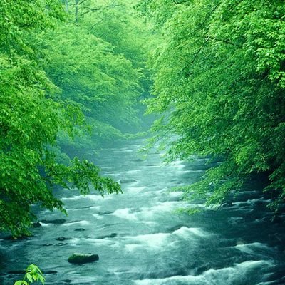 tagotago_run's profile picture. 怖いので鍵にします(笑)
腐女子で成人済みです