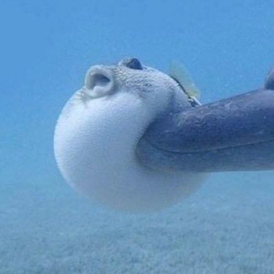 めいべりんさんのプロフィール画像