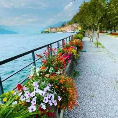 YasmineMeglali's profile picture. Le cœur ne vieillit pas