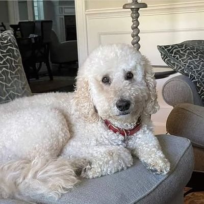 JaneRic84742558's profile picture. Loving and caring
