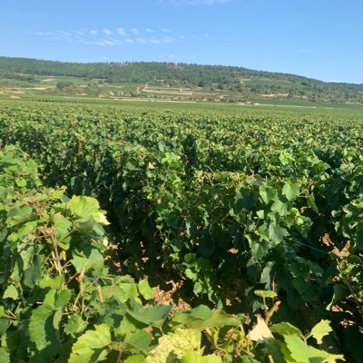 awinenotes's profile picture. 