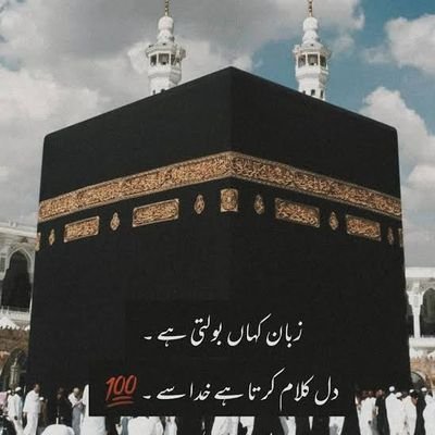 sanaaaakhank's profile picture. 