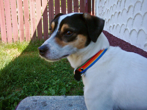 taybaispoppa's profile picture. 