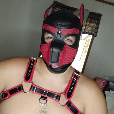 26- Just a pup trying to have a good time. 18+
Also a furry.