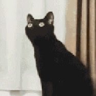 QkXA25Qtfo's profile picture. The creator of https://t.co/7y9QMDLggI and https://t.co/udk85l8ue6. Work with https://t.co/2U7goC2NAT