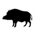 TheRealCinghiale (@cinghiale_real) Twitter profile photo TheRealCinghiale (@cinghiale_real) Twitter profile photo