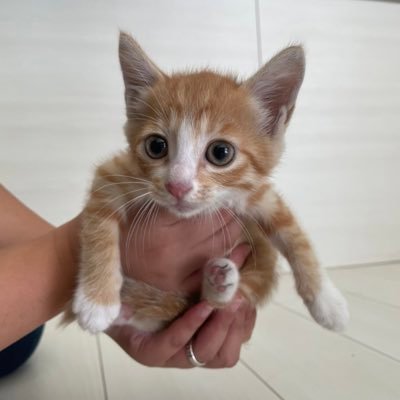 kain_xxx_'s profile picture. 