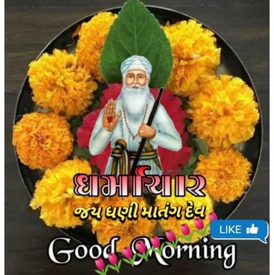 bhim_chief's profile picture. 