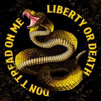 Laurent - (@digit_paris) 's Twitter Profile