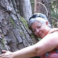 Pepi Estany Almirall (@pepiestany) 's Twitter Profile