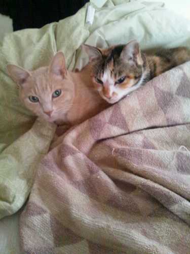 rinpafusyu4nori's profile picture. ”がん”という病に決着がついたと思ったら、次なる闘い、”リンパ浮腫の戦いを始めて４年。 同じ病と闘う方々と、悩みを共有できたら嬉しいです。リンパ浮腫について詳しい方の情報、アドバイスも頂けたら勇気１００倍です。 絶対”治すぞ～” 韓国の居・食・住の文化が、大好きです。