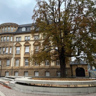 setareh_behzadi's profile picture. گاهی فقط من هیچ… من نگاه…