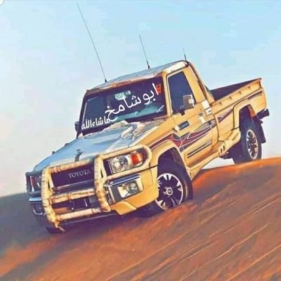 mbrkldys1's profile picture. 