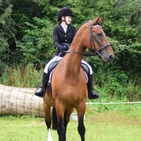 Kilmarnock Rescue (@killyrescue14) 's Twitter Profile