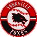 Yorkville High School Baseball (@FoxesBaseball) Twitter profile photo