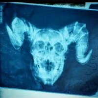 Nox Outcast Gaming (@nox_outcast) 's Twitter Profile