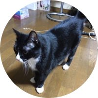 ノン💯 (@zxd7pr5x) 's Twitter Profile Photo