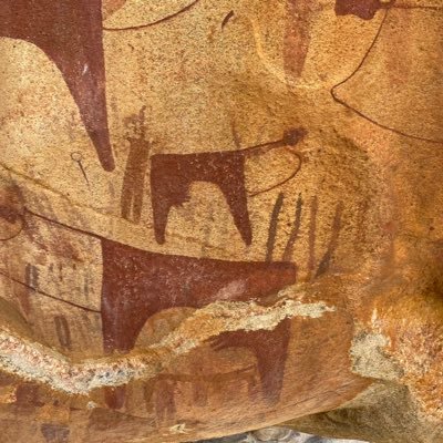 AmalAbd35220206's profile picture. 