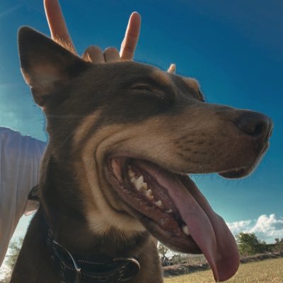 rolyy03's profile picture. 