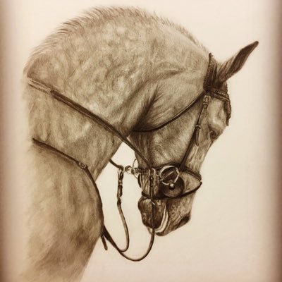 equinartsub's profile picture. サブ垢です✨スポーツ関係の情報を見るアカウントとして作りました✨
