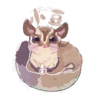 フクモモ あずき&らん (@hceyesseoebwcqw) 's Twitter Profile