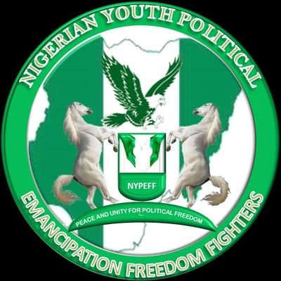 YOUTH POLITICAL EMANCIPATION FORUM POLITICAL FREEDOM FIGHTER FOR YOUTH'S EMPOWERMENT. My fellow African youth's we are being excluded politically it time to act