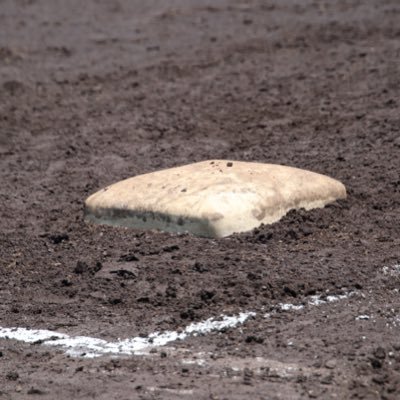 巨人ファン！愛犬！愛猫！ 好きな番組:熱闘甲子園