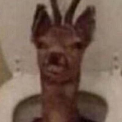 Timothy52117772's profile picture.