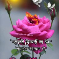 Vivek ☀️ (@vivek17086206) 's Twitter Profile