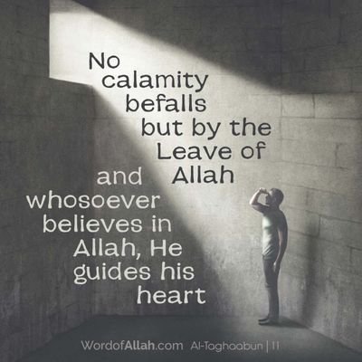 Ashaduzzaman03's profile picture. 