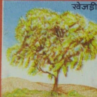 prdp2929's profile picture. 🕉️ जय श्री राम🚩🚩||
राष्ट्र सर्वोपरि 🇮🇳 ||
|| वन्यजीव एंव पर्यावरण प्रेमी ||

बिश्नोई बंधु अवश्य जुड़े