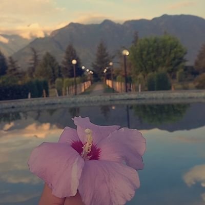 SyedSehreen1's profile picture. young and Able