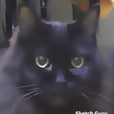 chat_noir_9625 Profile Picture