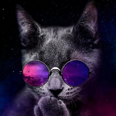 _shaygs17_'s profile picture. 🏳️‍🌈🏳‍⚧