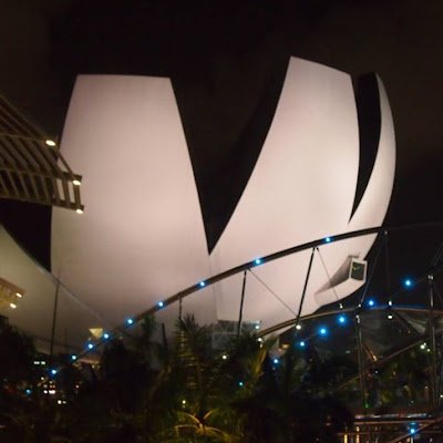 peterlee5415's profile picture. YOLO