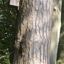 Sheldon Rogers - @SheldonRogers - Twitter