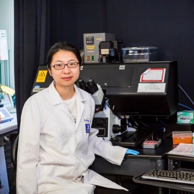Postdoc in Manoj Duraisingh lab (Harvard University) PhD in Leann Tilley lab (University of Melbourne), malaria, microtubule, expansion microscopy